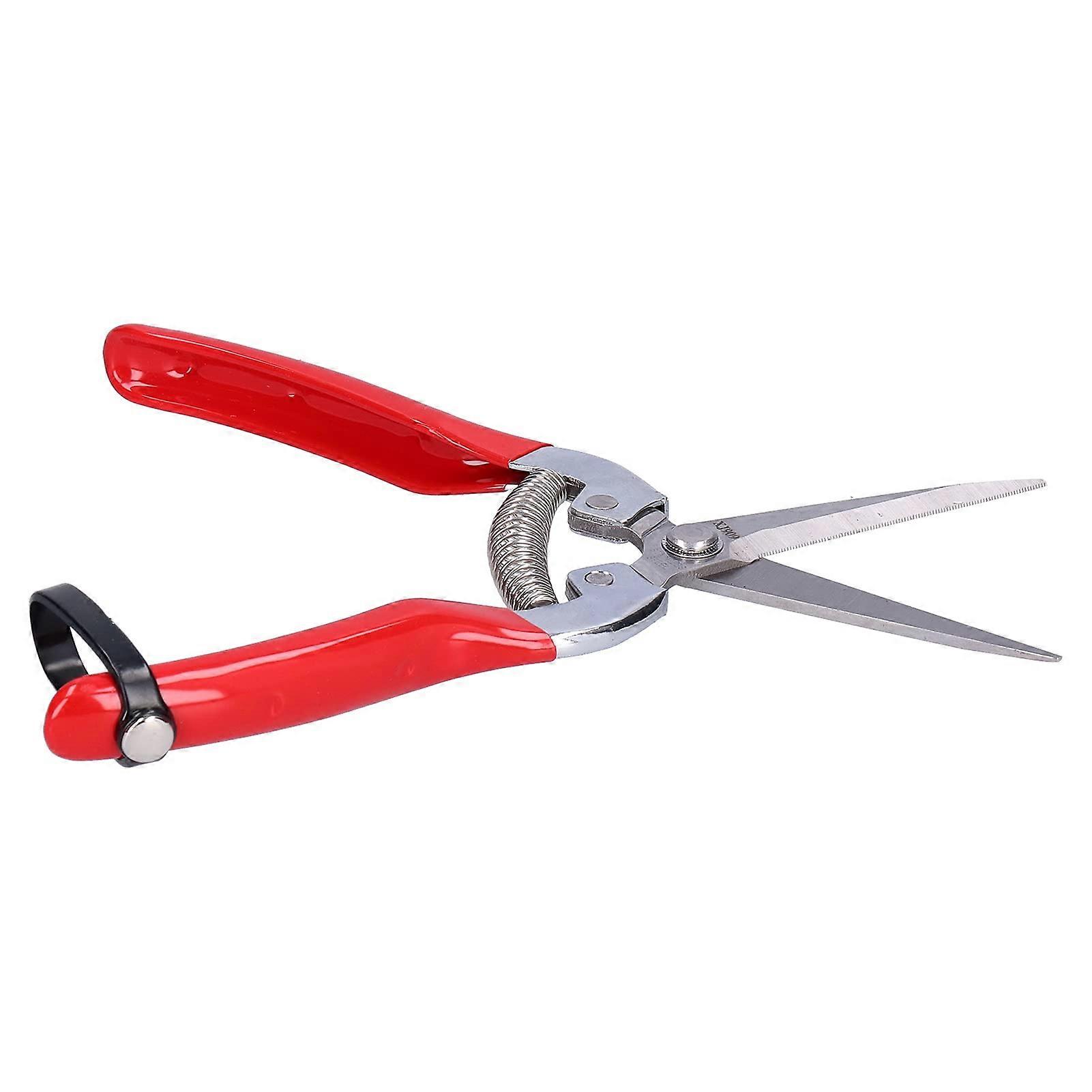 Pruning Shears with Ergonomic Nonslip Handle, Precision Garden Scissors for Small Branches