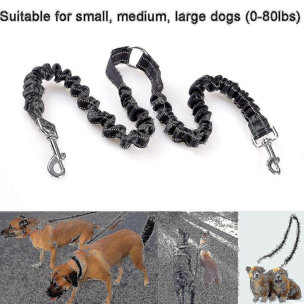 Bungee Double Dog Coupler Lead, No Tangle Two 2 Dog Leash And Splitter For Walking Puppy Small Mediu