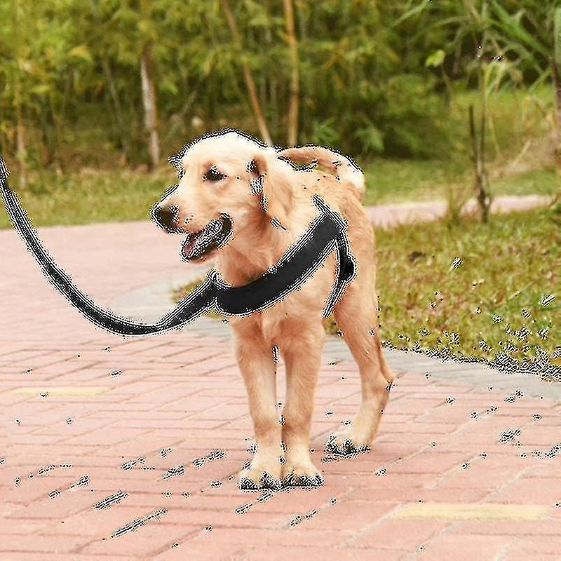 Pet Dogs Nylon Comfortable O-ring A7 Chest Harness Lead Leash, Size: Xs, Adjustable Range: