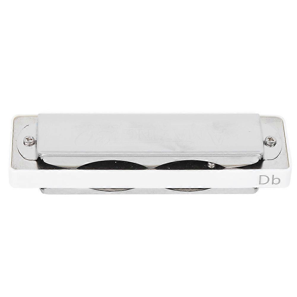 Blues Harmonica 10 Holes Mondharmonica Db Key ABS Hars Professioneel Beginner BlaasinstrumentWit 