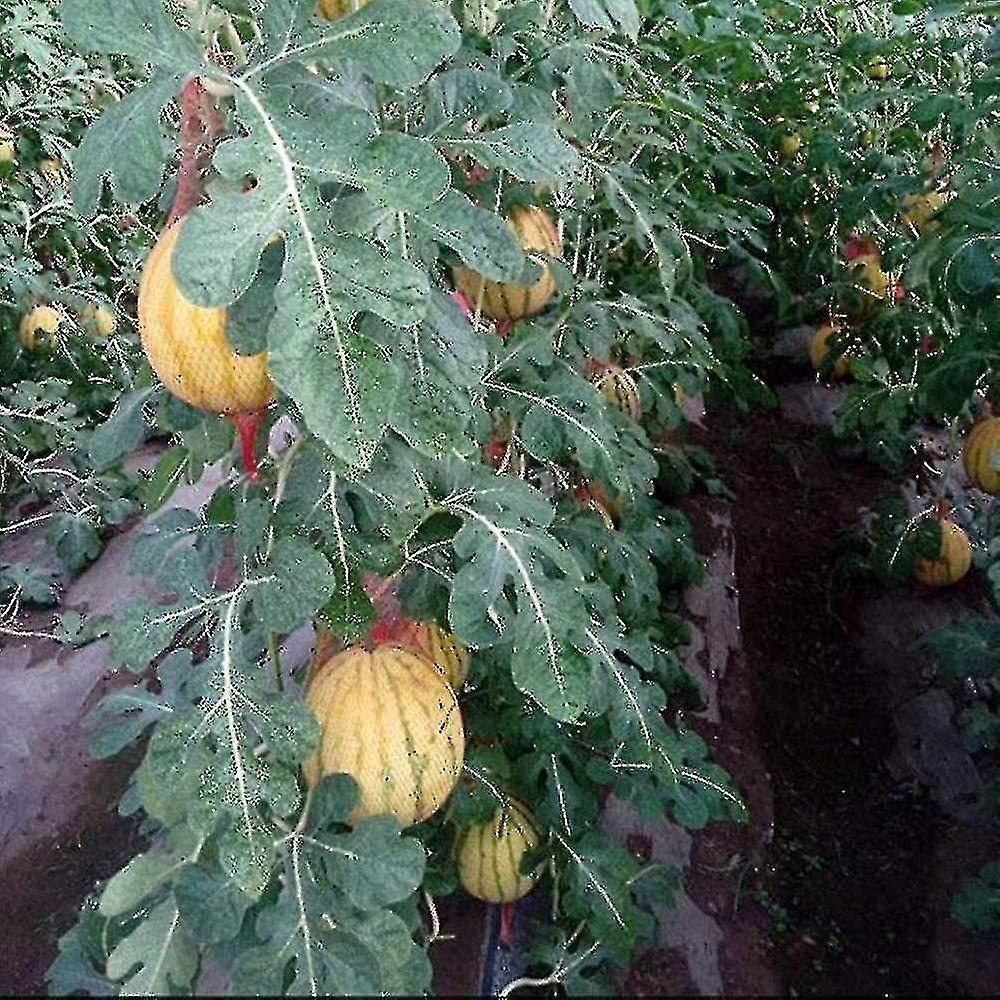 100pcs Reusable Net Bag,nylon Mesh Vegetable Net Bag, Fruit And Vegetable Packaging Net, For Egg Net Bag