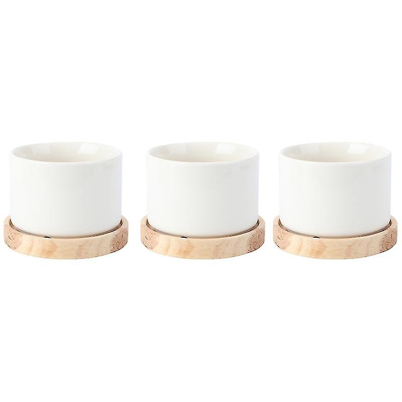 3set Ceramic Flowerpot