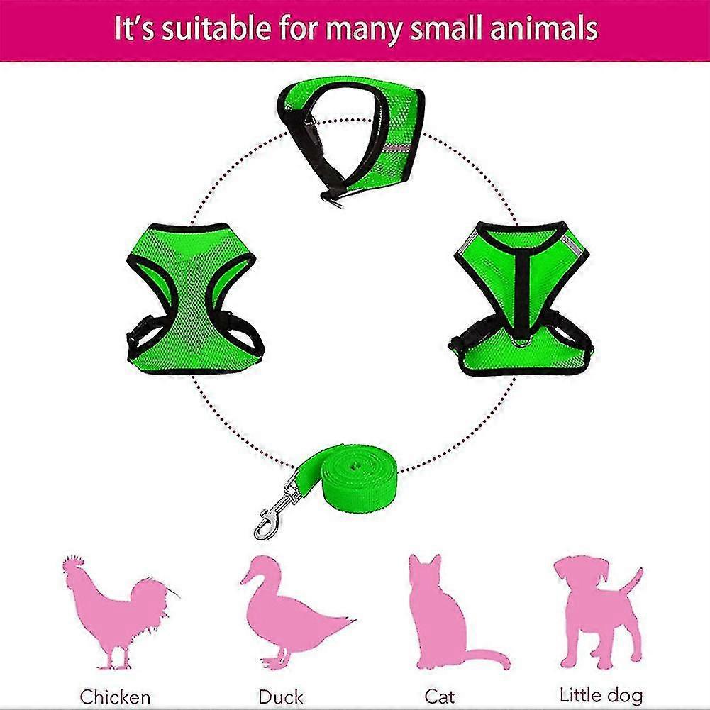 Adjustable Chicken Harness With Leash- Comfortable Hen Vest Breathable Mesh