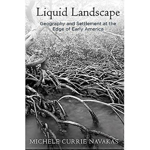 Liquid Landscape