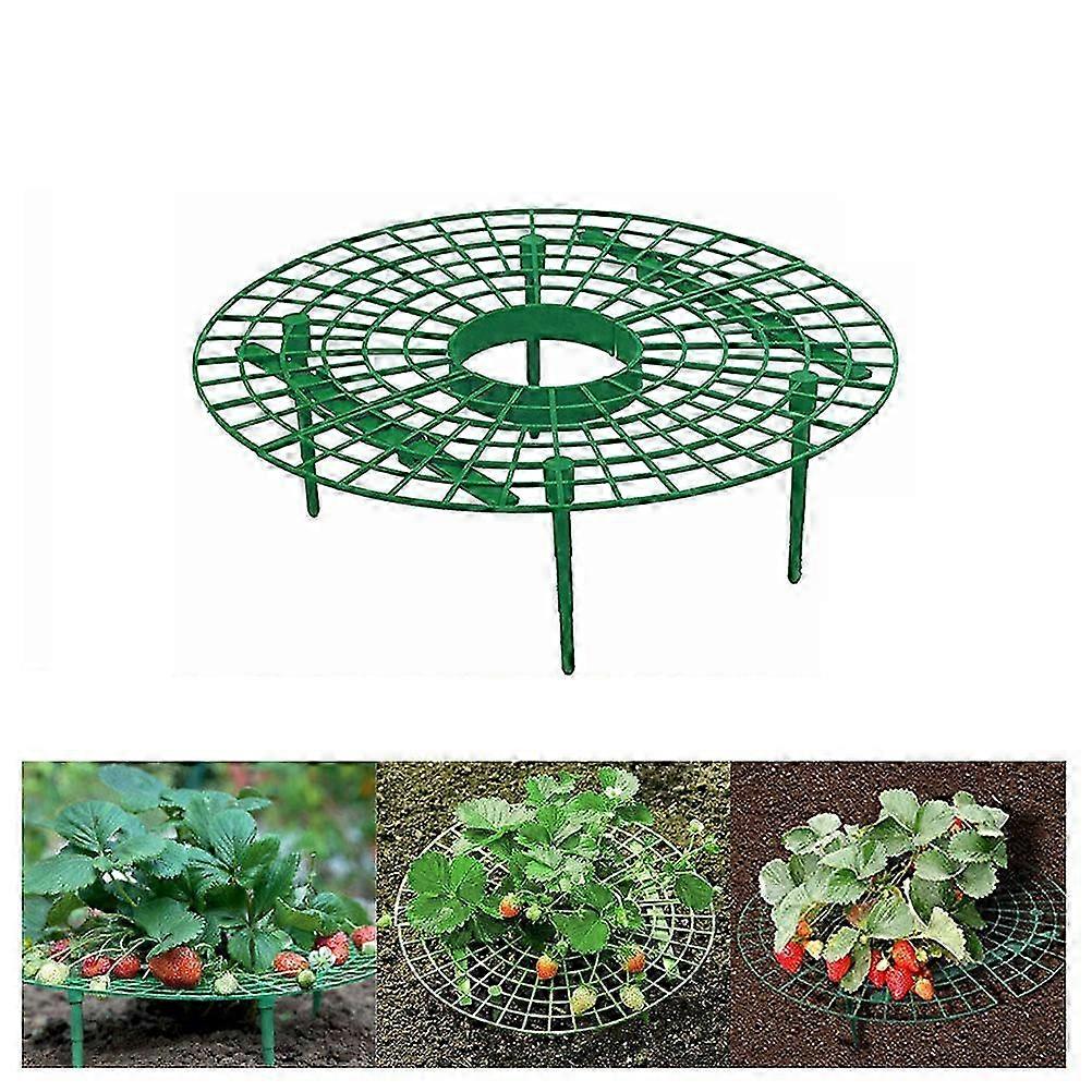 Strawberry Growing Support Practical Strawberry Rack Plant Climbing ...