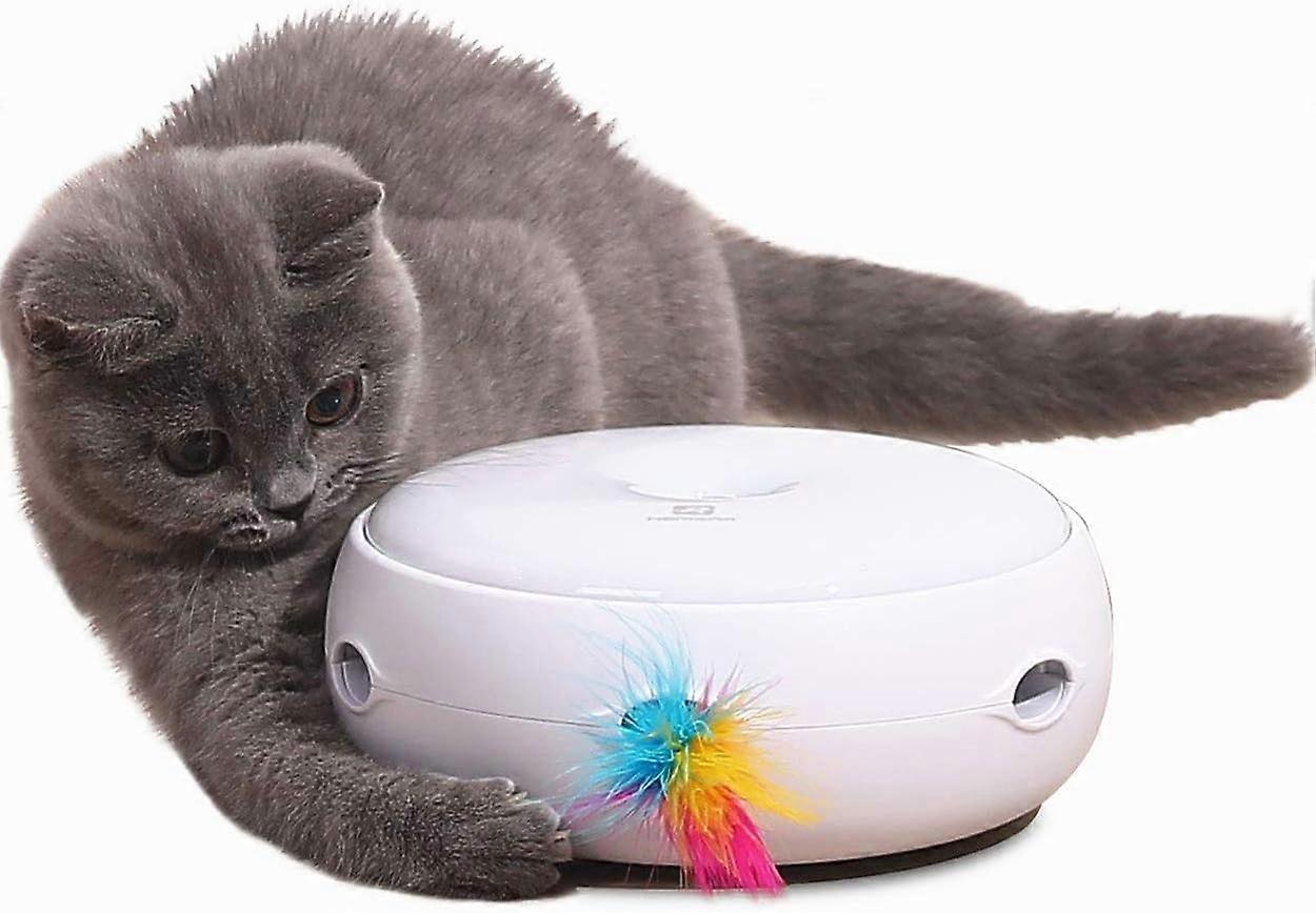 Automatic USB Rechargeable Interactive Cat Toy