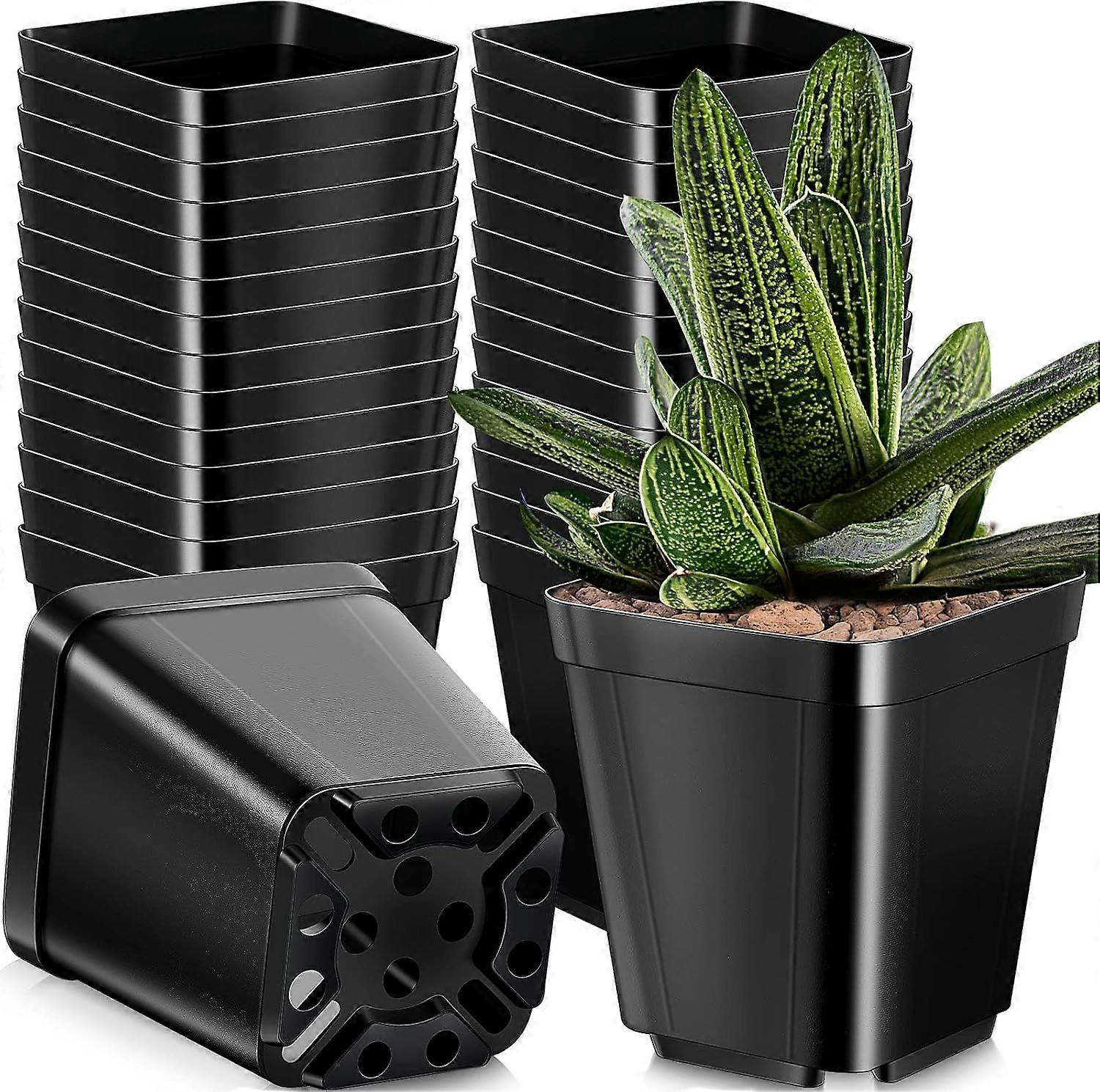 50Pcs Black Square Nursery Pots