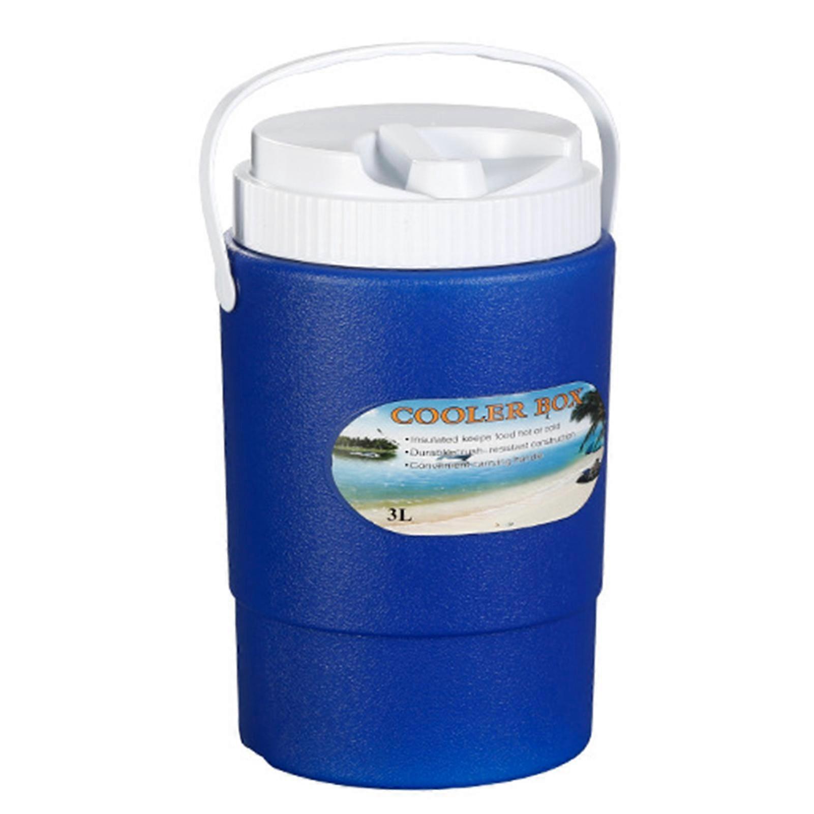 Portable 3L Blue Cooler Box Insulated Thermal Container Durable Outdoor Camping Home Car Use Easy-to-Carry Design Lightweight Material for Storing Foo