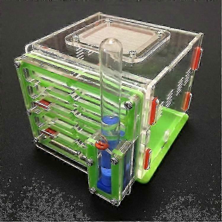 새장 새 목욕 DIY 아크릴 애완 동물 개미 둥지 개미 집 미니 곡물 창고 녹색