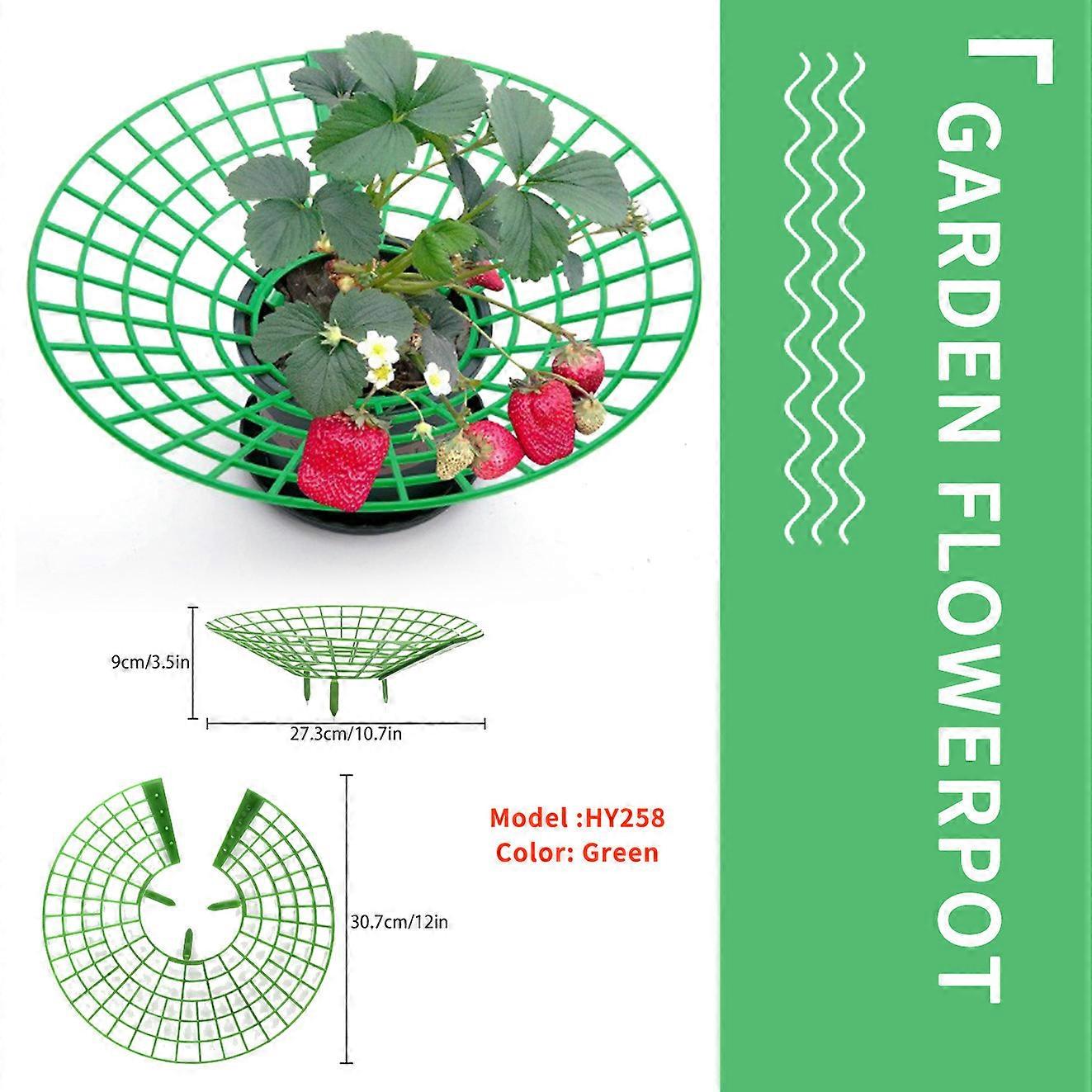 10pcs Strawberry Growing Racks