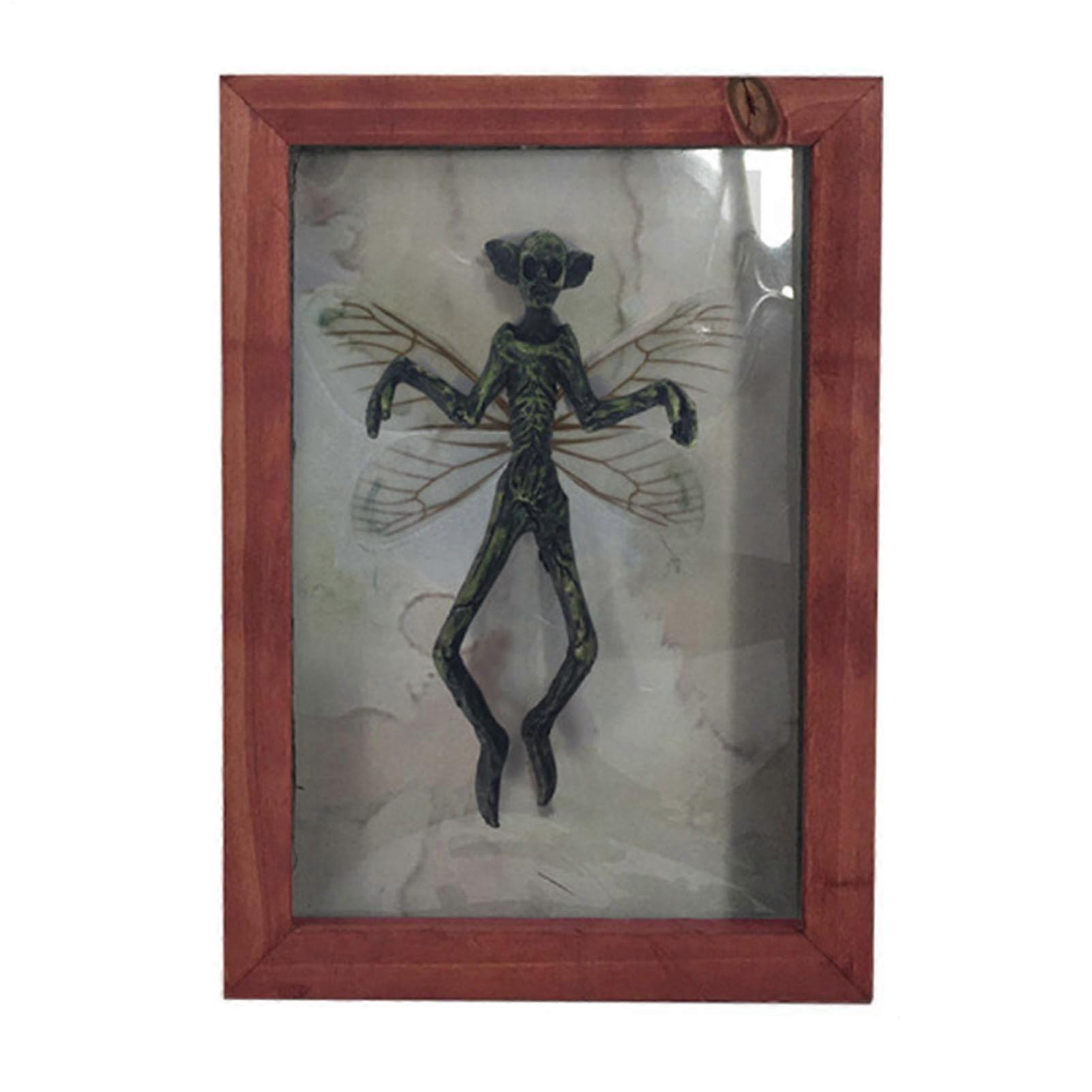 Mummy Specimen Picture Frame, Gothic Resin Wall Display, Vintage Curiosity Artwork For Gallery Or Occult Decor
