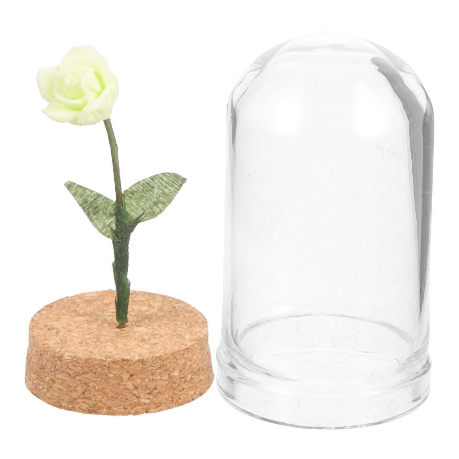 Miniature Dome Rose in Glass Mini House Decor for 3Pcs Display