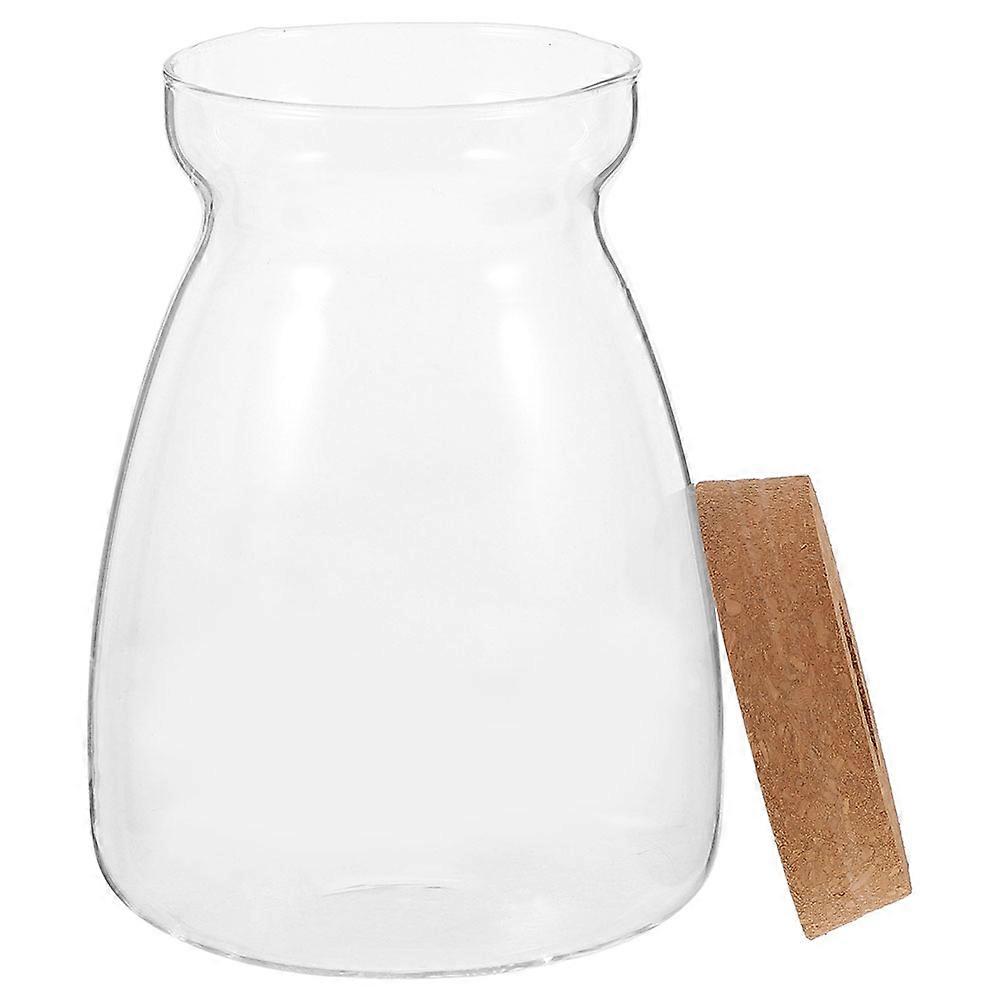Glass Propagation Station Desktop Container For Betta Fish Plants Transparent Terrarium 1Pack