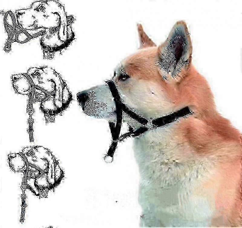 Halti Head Collar Dog Training Obedience Stop Pulling On Lead No Pull Solution Zekai Item No.1-405-132