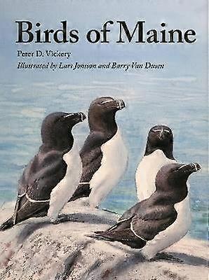 Aves de Maine