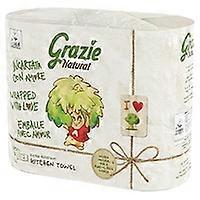 Towel Pack Absorbent Paper 2 rolls 2 units