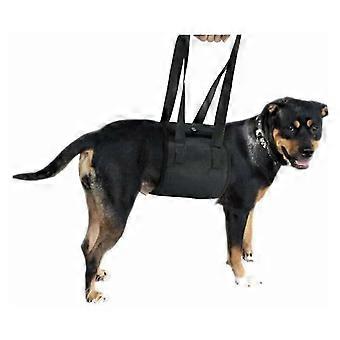 Pet carrier belt, dog carrier belt, pet helper belt, pet protection belt, waist belt