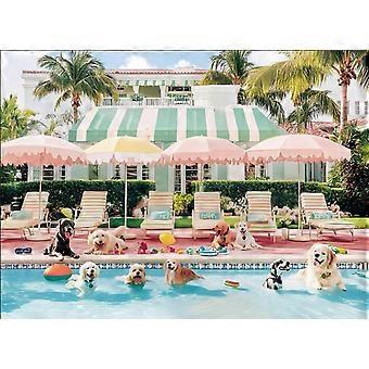 Jigsaw Puzzles for Adults Puppy Swimming Pool Challenging Jigsaw Puzzle Animal Puzzles Difficult Puzzle Great Gift Jigsaw Puzzle Game SQZ180
