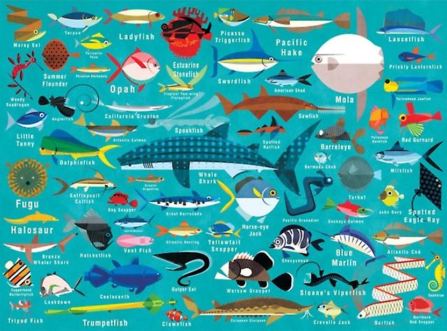Ocean Life 1000pc Family Puzzle by Mudpuppy Paperback Book