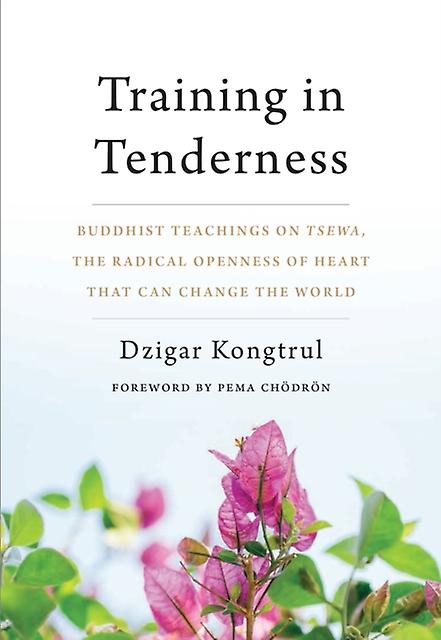 Training In Tenderness by Dzigar Kongtrul Paperback Book