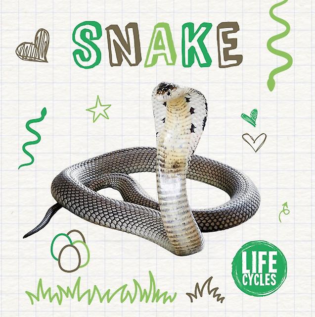 Snake by Holly Duhig Hardback Book