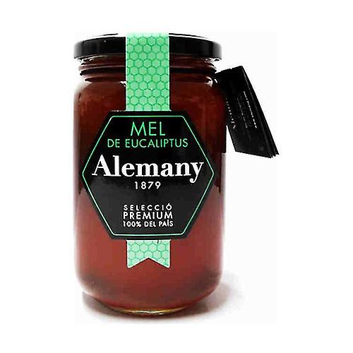 Eucalyptus honey 500 g