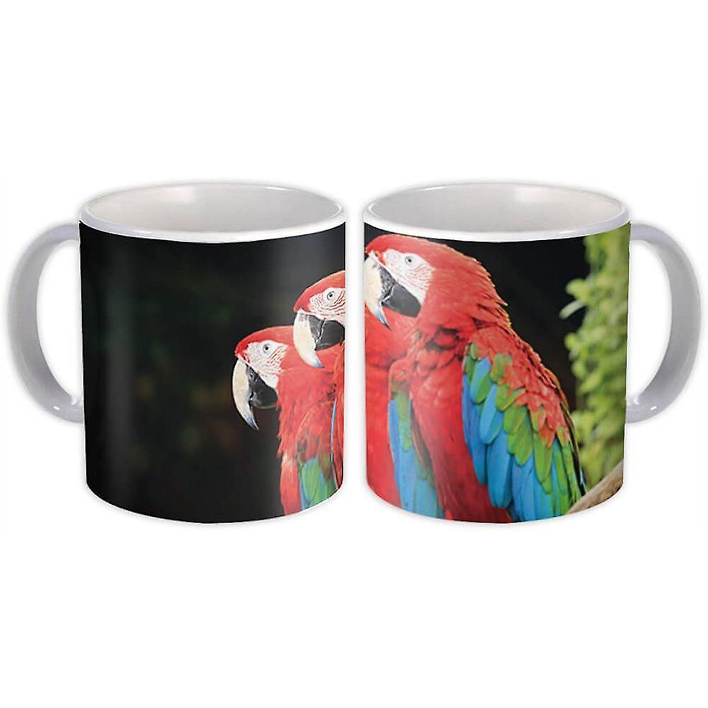Gift Mug: 3 Macaws Parrot