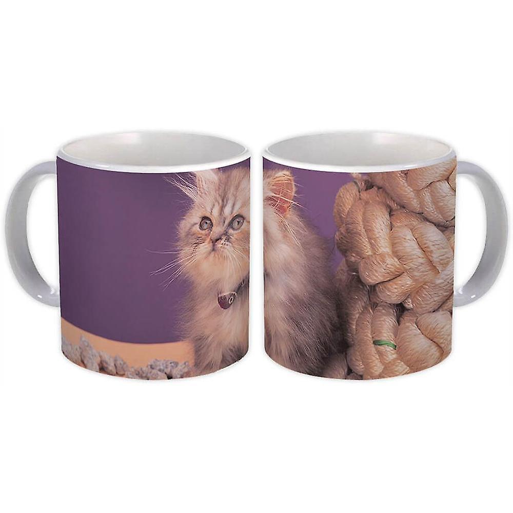 Gift Mug: Cat Kitten