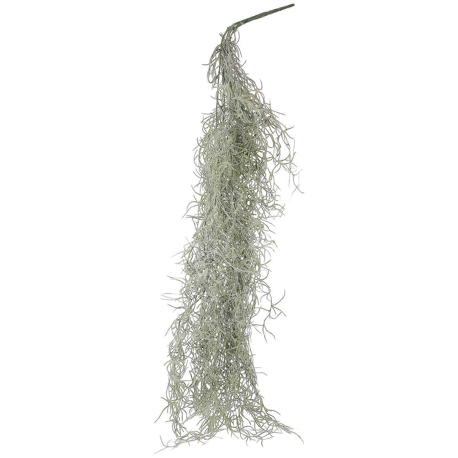 Micro-landscape Decor Moss Decorative Lichen Plants Dried Moss Hanging Moss