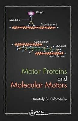 Motor Proteins and Molecular Motors