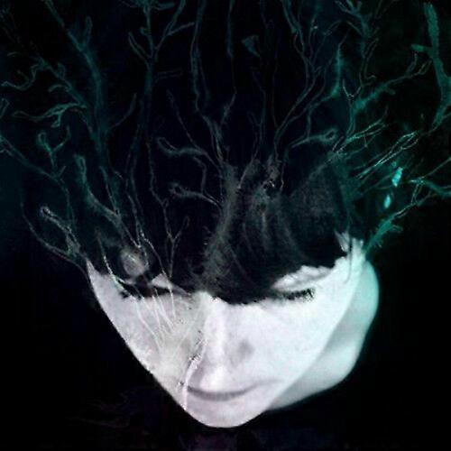 Hanne Kolst While We Still Have Light CD (2016) NEW