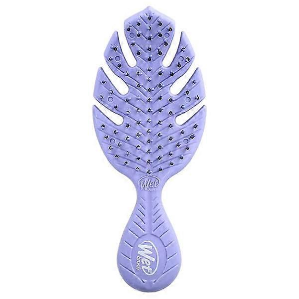 Wet Brush, Go GreenÃ¢ÂÂ¢ Mini Detangler, Purple, 1 Brush