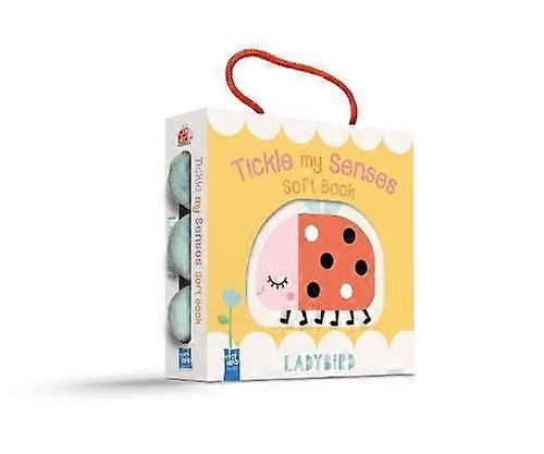 Ladybird Rag book Buch