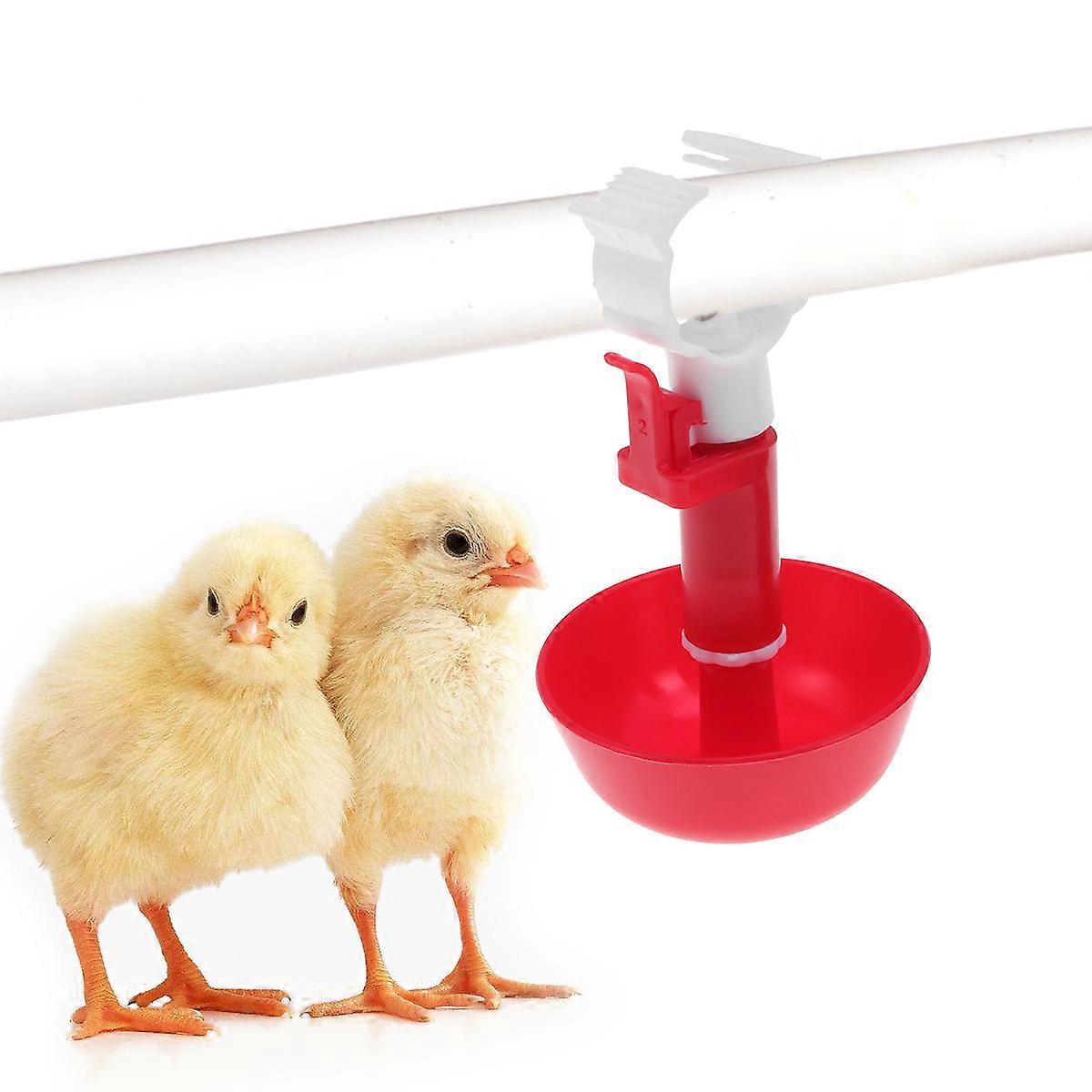 Drinking Cup Chicken Poultry Drinker for Feeding 10Pcs Red
