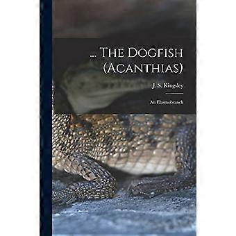... de hondshaai (Acanthias) ; een Elasmobranch