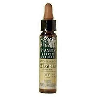 Bach Flowers Cerasifera-6 Eco Floral Elixir 10 ml of floral elixir