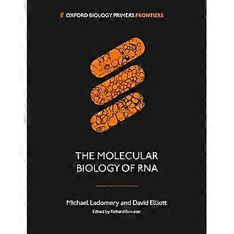 Molekularbiologie der RNA