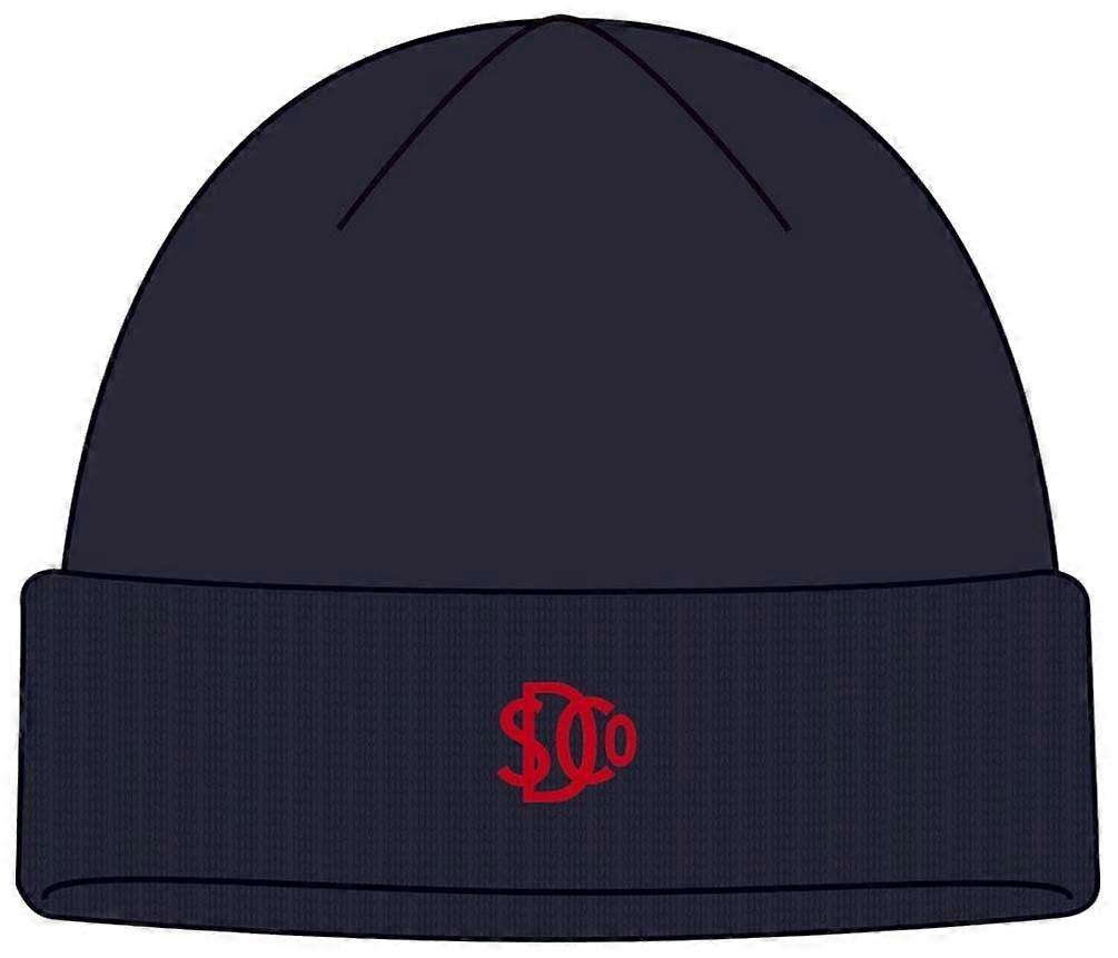 Superdry & Co SD Logo Beanie - Eclipse Navy