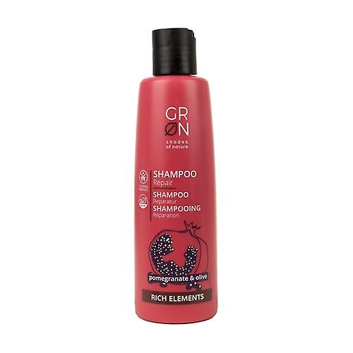 Rich Elements Repairing Shampoo 250 ml
