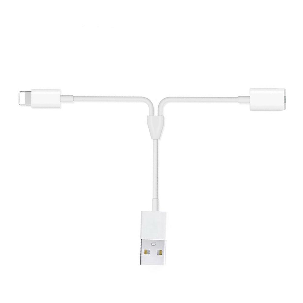 2-in-1 USB Charging Cable for iOS Pencil & iPhone - Durable, 1m, Easy to Use