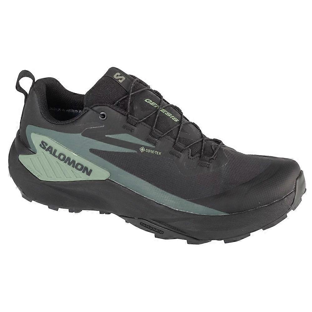 Shoes Salomon Genesis Gtx 475187