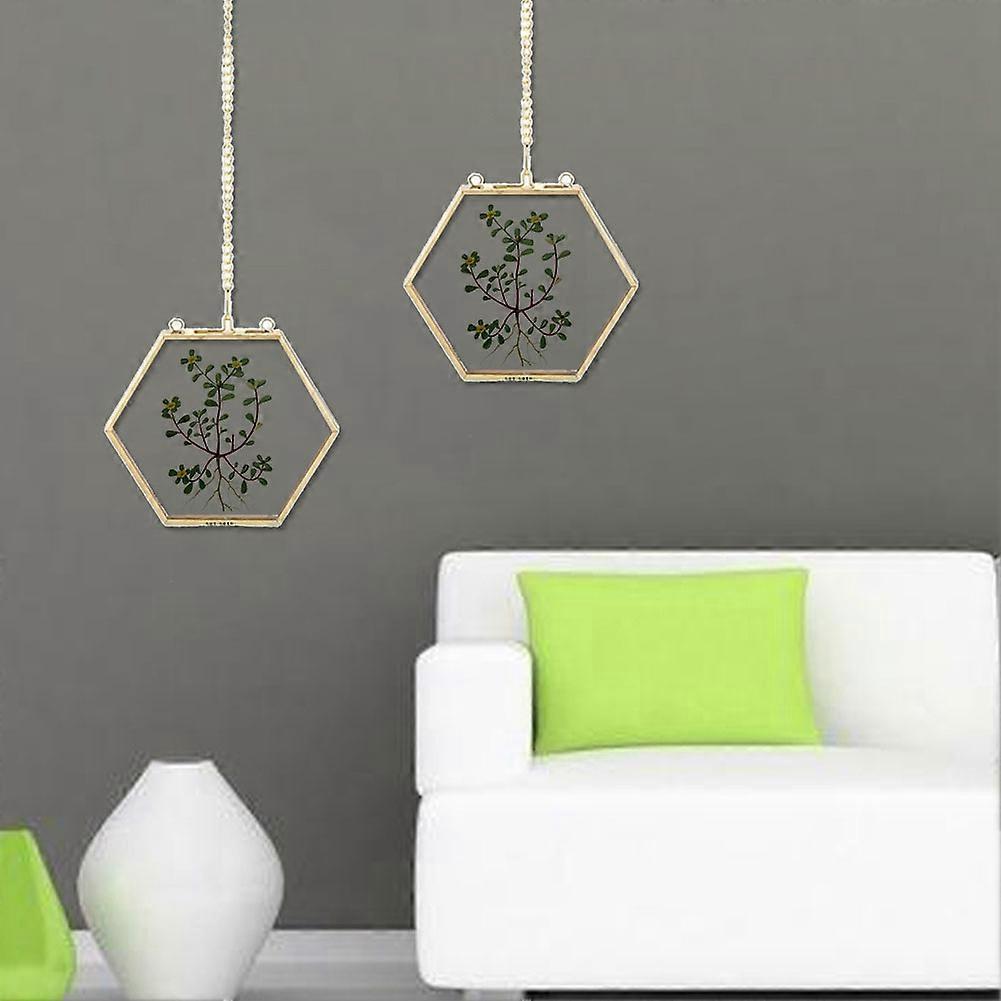 Geometric Hexagonal Glass Picture Frame for Dried Flower and Plant Specimen Display