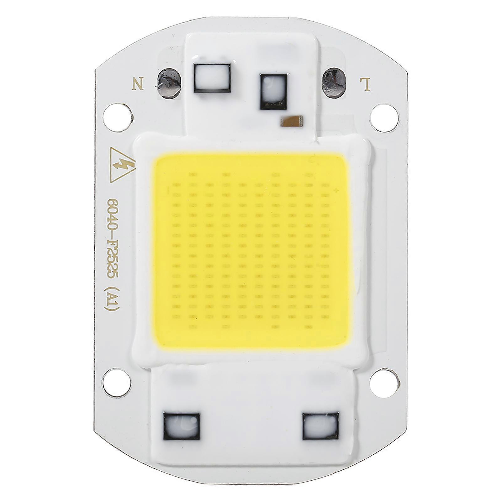 1 Stück 220 V 30 W weiß integrierte Hochleistungs-LED-Flutlicht-COB-Chip-Lampe (30 W weiß)