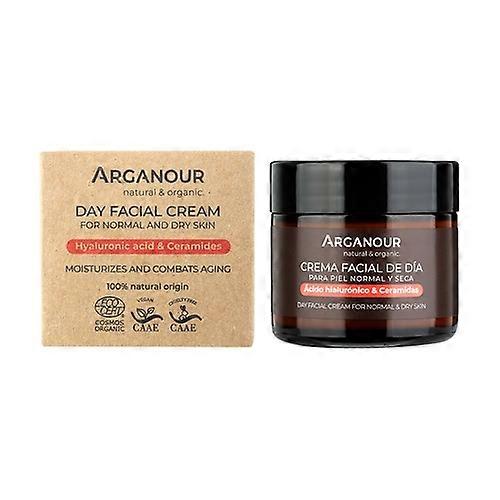Anti-Aging Day Cream 50 ml of cream