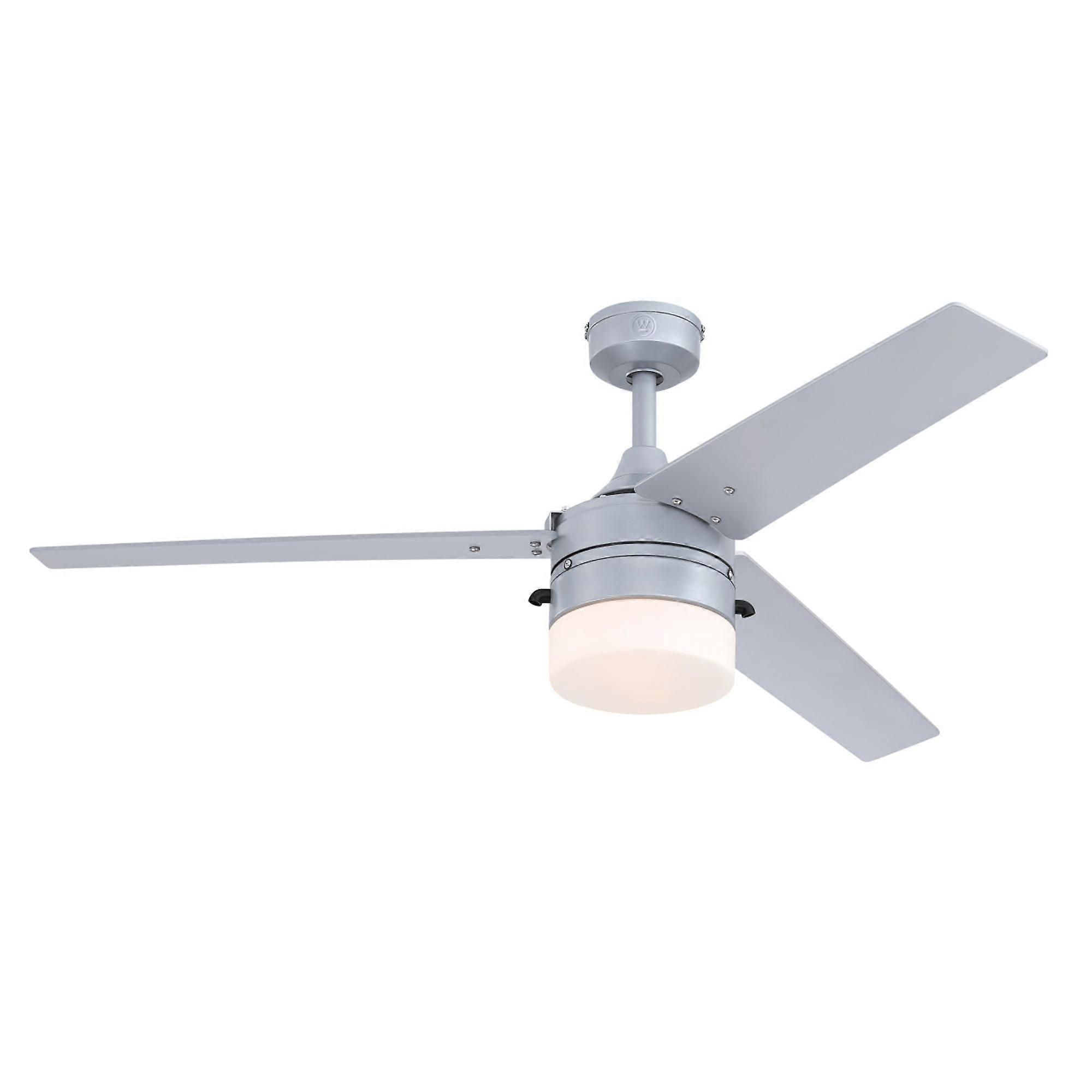 Outdoor ceiling fan Riverton Silver with light