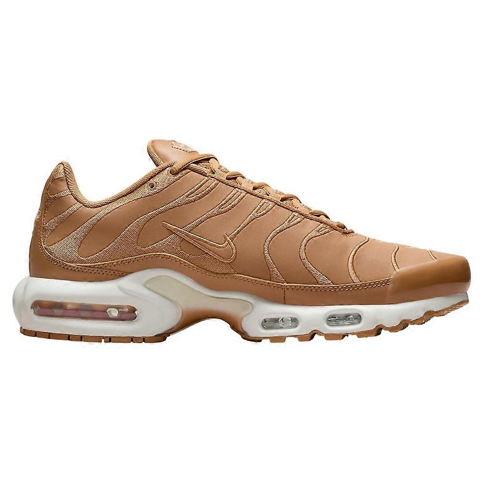 Shoes Nike Air Max Plus FZ8815200