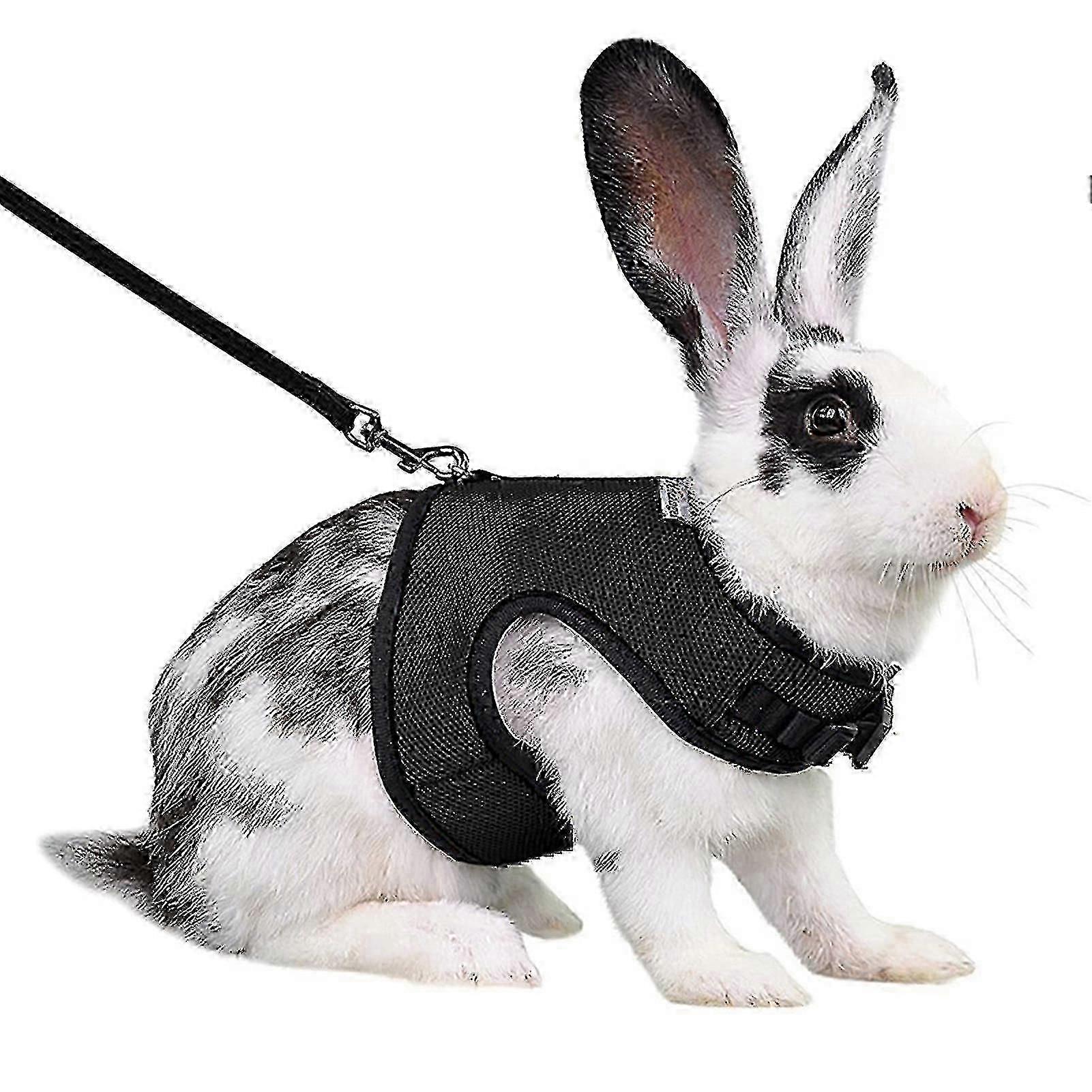 Rabbit Harness Comfortable Adjustable Traction Tool Ferret Rats Hamster Soft Mesh Harness Leash Vest Set Pet Supplies