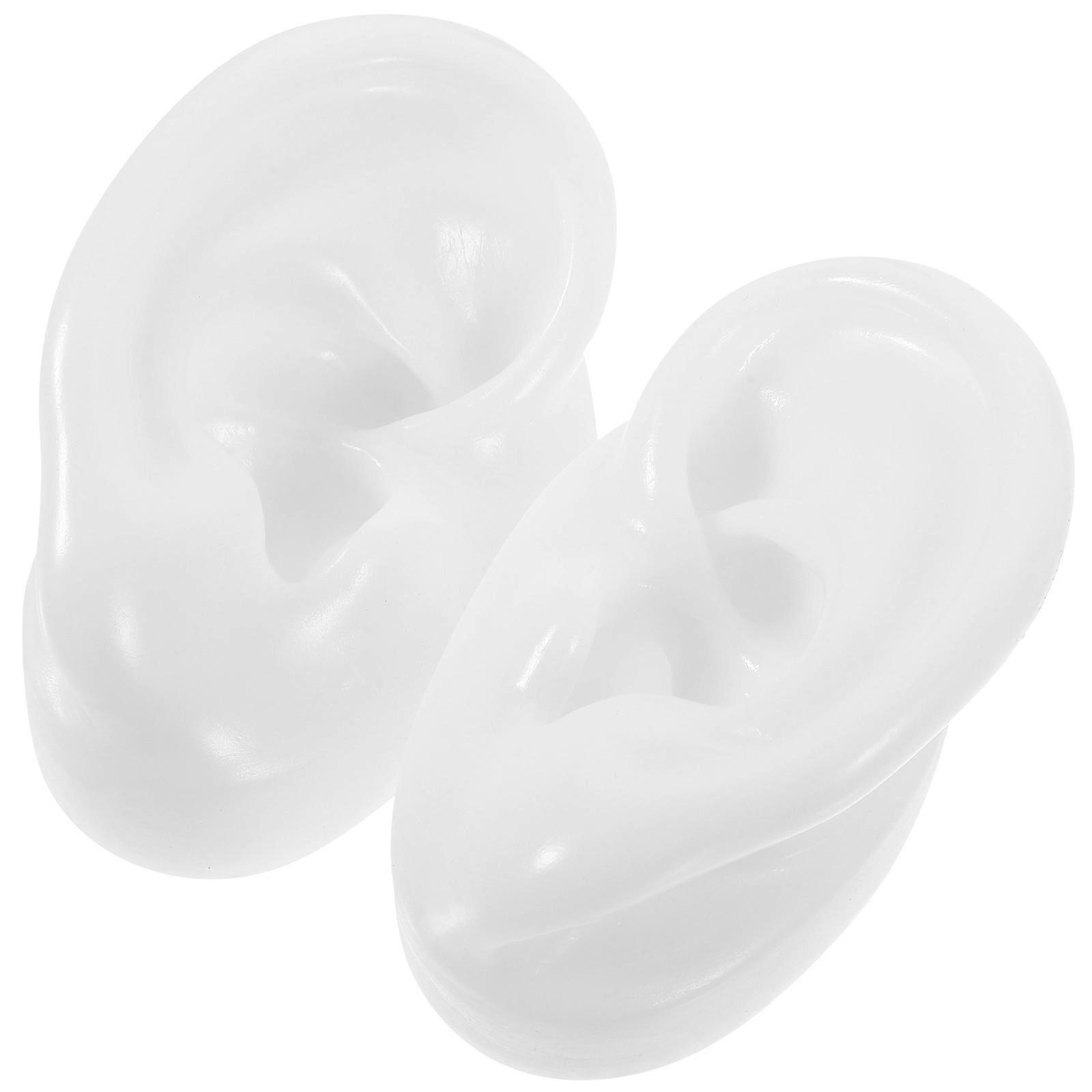 Creative Teaching Model Ear Shape Simulation For Jewelry Showcase 1 Pair