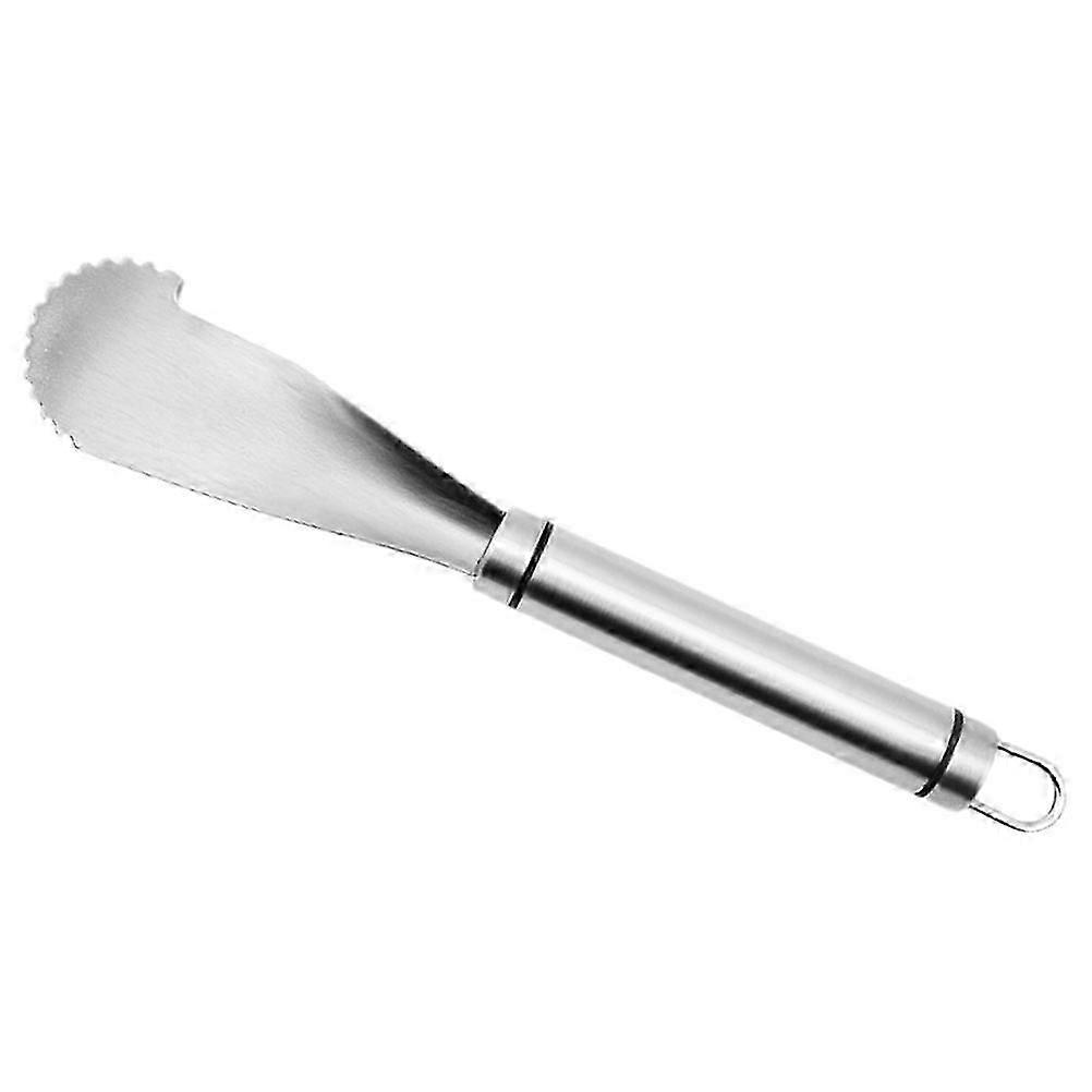 Peeling Tool Citrus Silver Easy Cleaning Home Users 22.50X4.00X2.50CM 1Pack