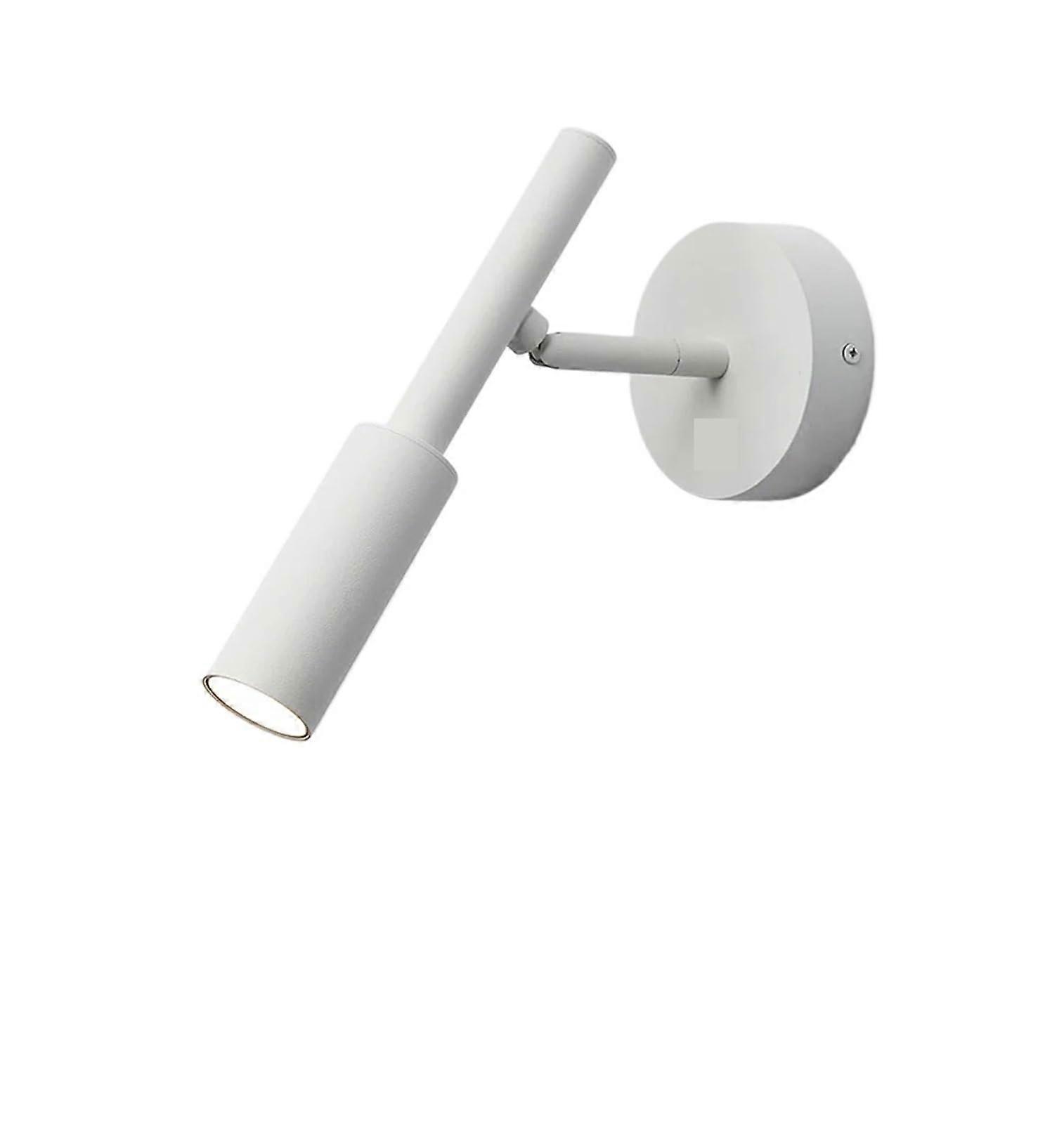 Picture Lights for Wall 7W LED Wall Lamp Adjustable Rotation For Pictures Frames Mirrors Tricolor White